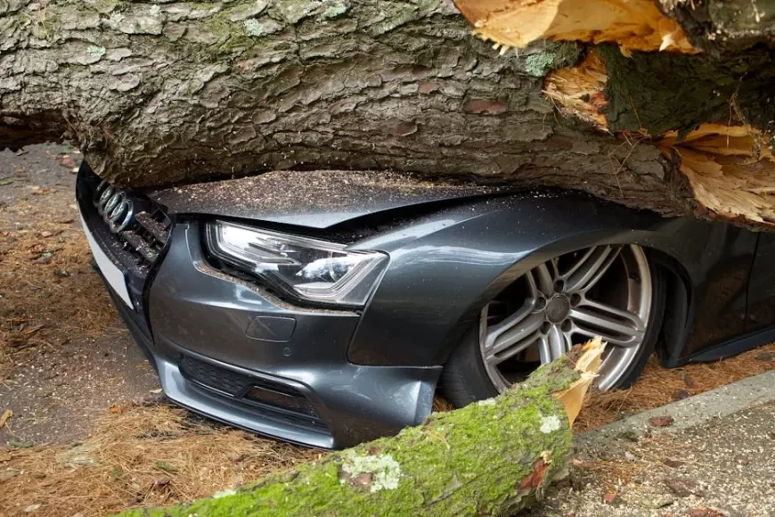 What Should I Do After an Accident?